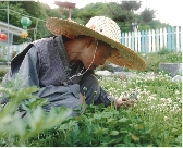 샘플이미지
